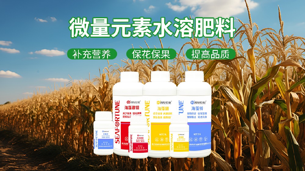 种玉米施肥用什么肥料好