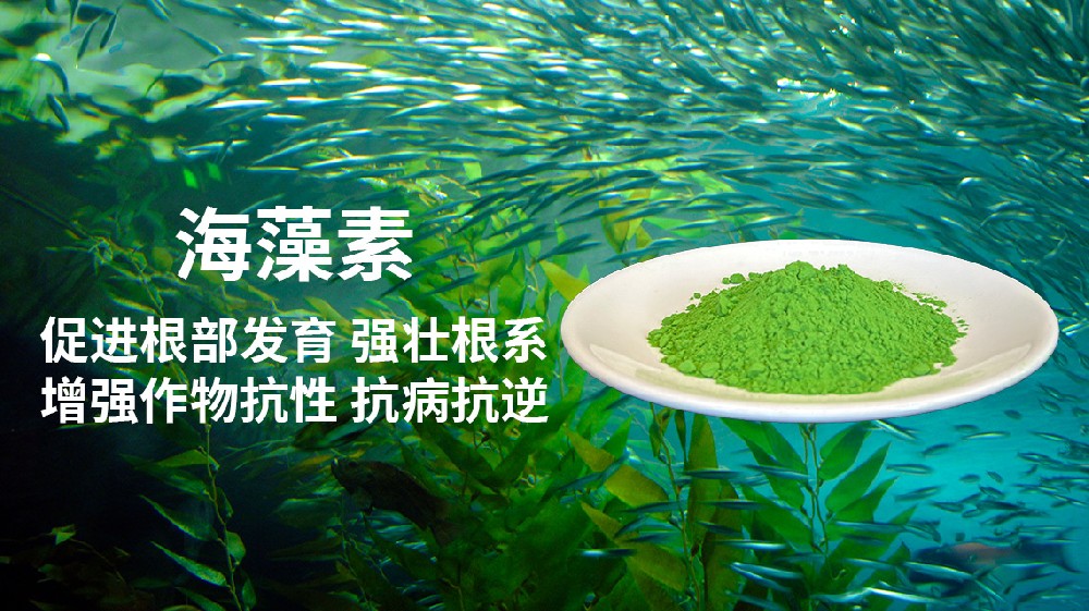 海藻酸对植物的功效与作用