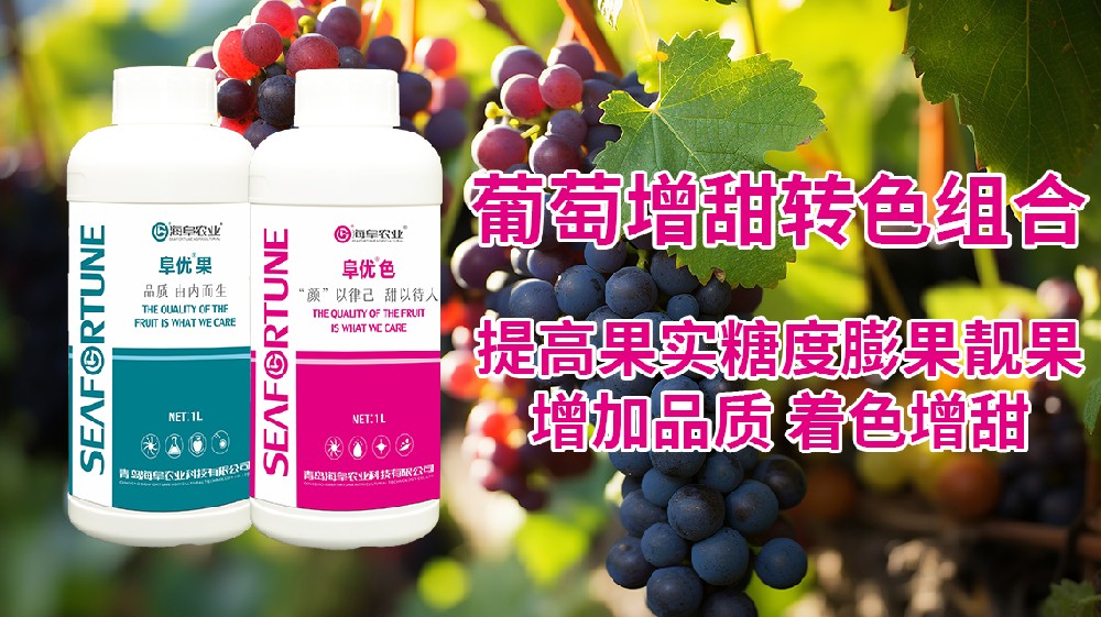 颂田农业：探究葡萄树多年未结果之谜：原因何在？